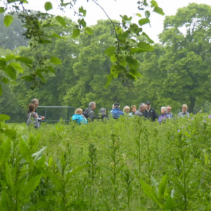 Gezond Natuur Wandelen