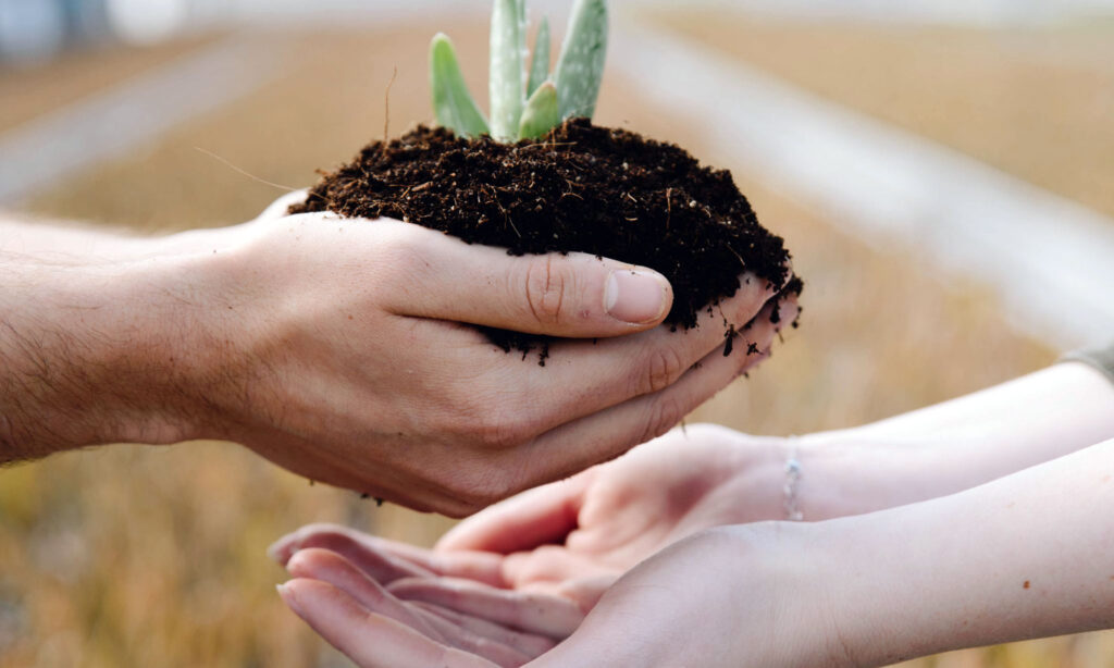 Plant a friend