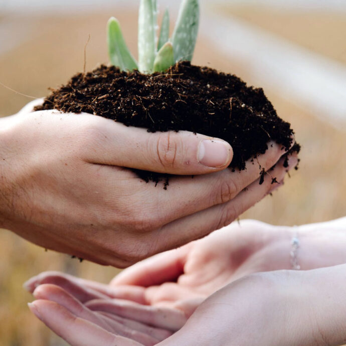 Plant a friend